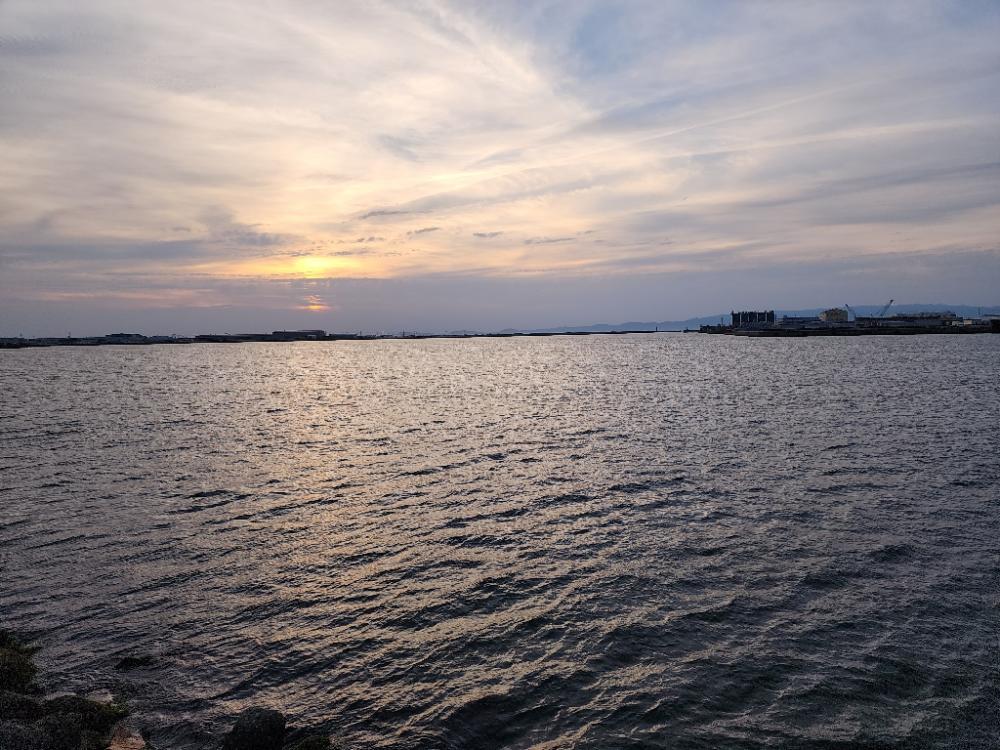 オクトパッシング🐙