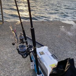 ここで、又、鰤だが痩せているのだ