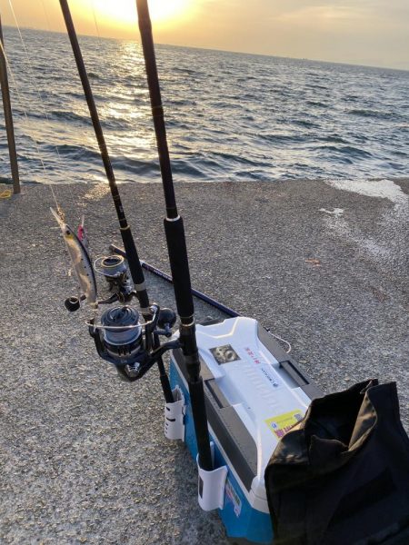 ここで、又、鰤だが痩せているのだ