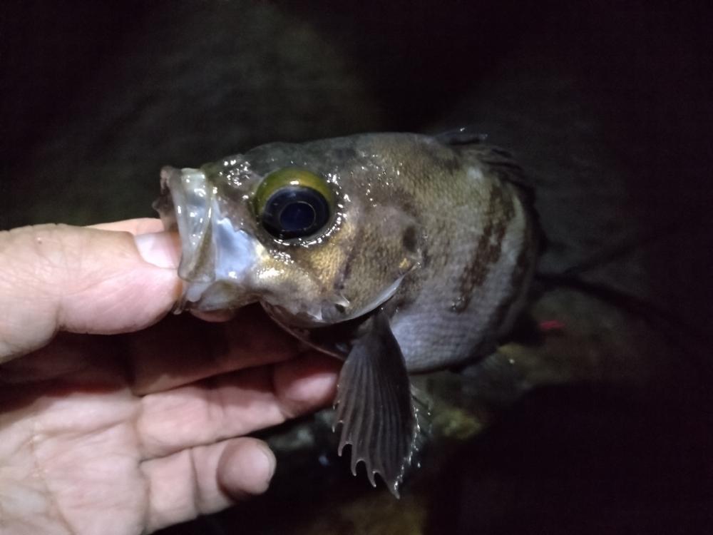 フロートメバリング