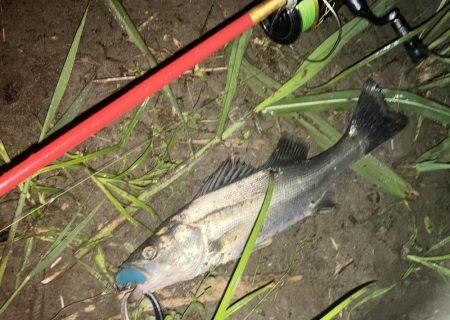 ががっときました