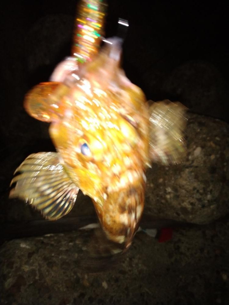 ちょい釣り20230519