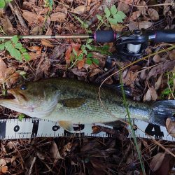 シャローにいました