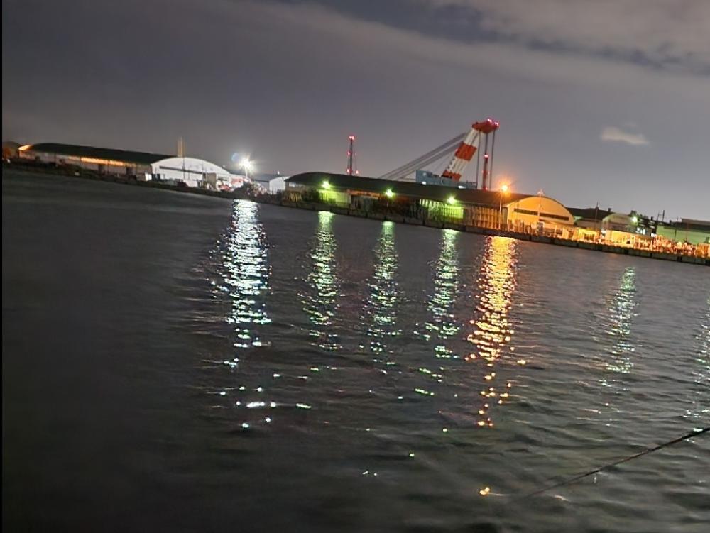 バチ抜け13戦目  活性高︎ ⤴︎