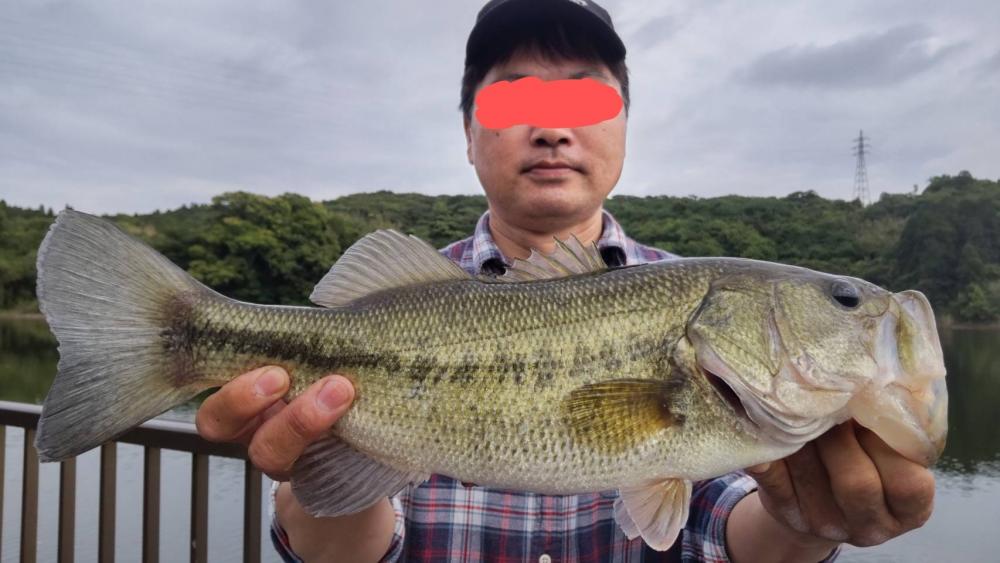 1年ぶりのブラックバス!