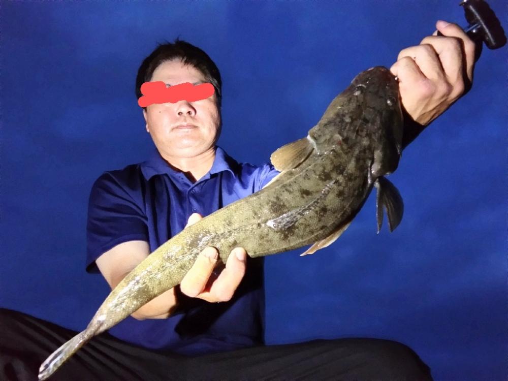 マゴチ釣れました!