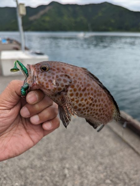 陸っぱり釣行記