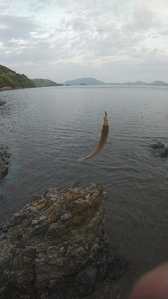 キス釣り～本番？