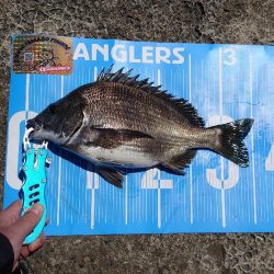 遠矢浮き✨初釣行🙋今期第2戦💦