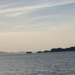 はげ王としょへ王のまったりキス釣り