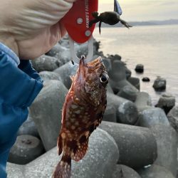 小潮の夕まずめに小1時間