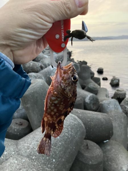 小潮の夕まずめに小1時間