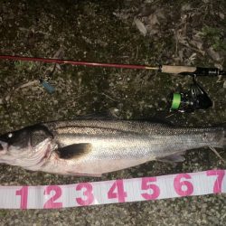 やられたらやり返す倍返しや！！