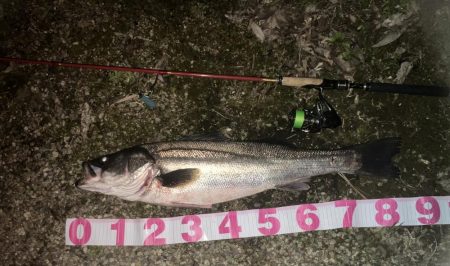 やられたらやり返す倍返しや！！