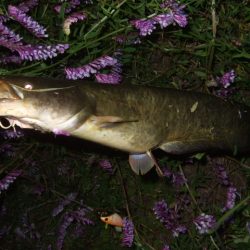 ポイントが絞り辛い