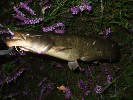 ポイントが絞り辛い