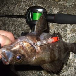 また水潮っぽい渋さ