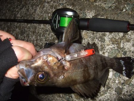 また水潮っぽい渋さ