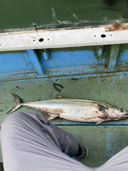 サワラキャスティング神戸