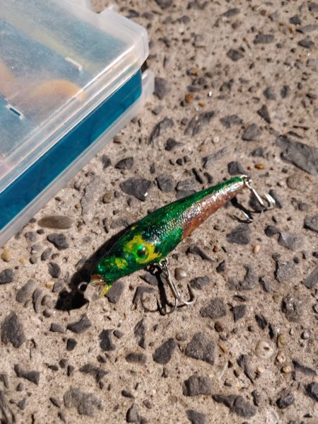 久しぶりにシーバスをなんとか