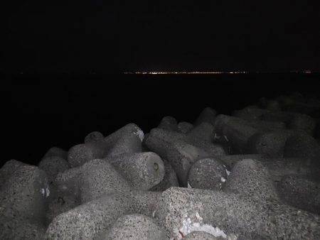 アジングからのメバリング