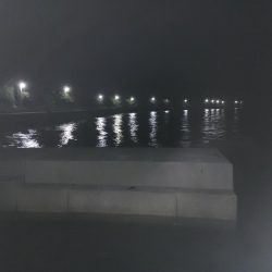 エギング　メバリング