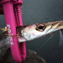 ずぶ濡れになりながら…