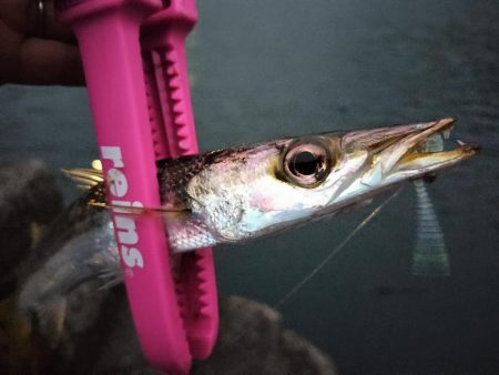 ずぶ濡れになりながら…