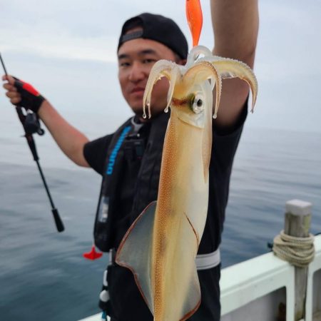 デイイカメタルでケンサキイカ