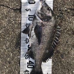 イチノ兄弟（兄）釣果！