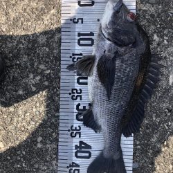 イチノ兄弟(兄)釣果!