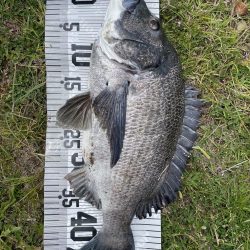 イチノ兄弟（兄）釣果！