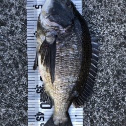 イチノ兄弟(兄)釣果!