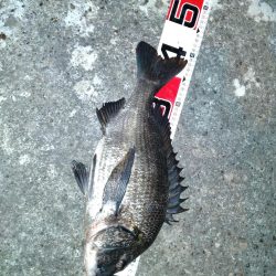 アジングロッド