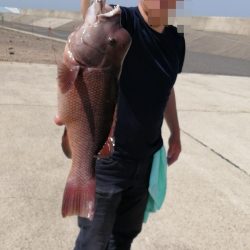 いきなり!コブダイ