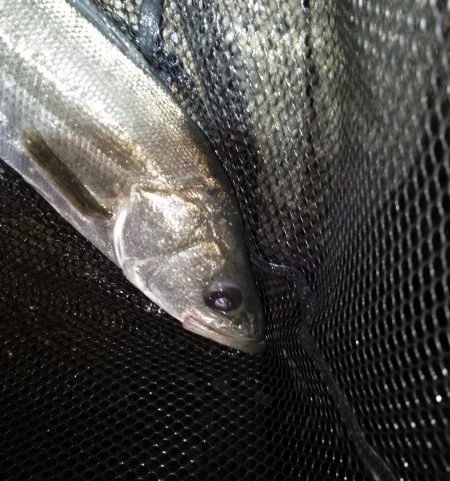 雨後の表層狙いはNG？