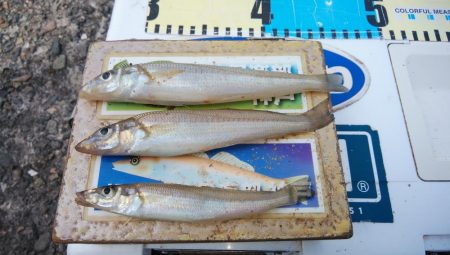 ゴールデンウィーク４連投しました