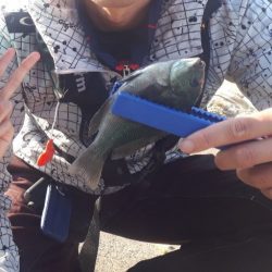 ファミリーフィッシング