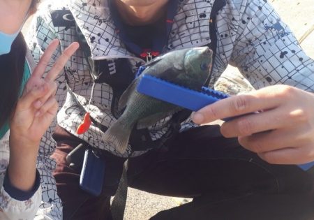 ファミリーフィッシング