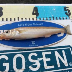 東二見のキス情報