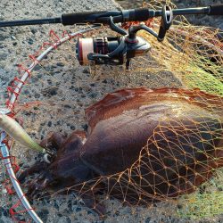 仕事帰りに二杯は上出来