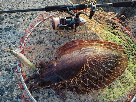 仕事帰りに二杯は上出来