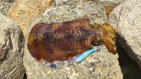 ついにこの季節が