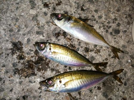 小○の活性は高く