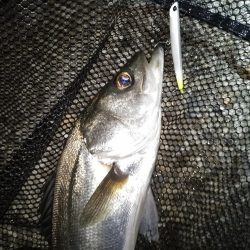 サイズが出ないですね…