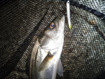 サイズが出ないですね…