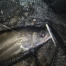 行ってみないと分からないよね～