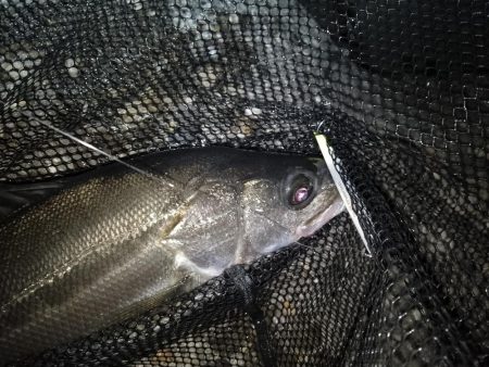 行ってみないと分からないよね～