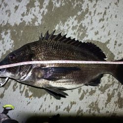 2023/05/25 南港ヘチ釣り釣行