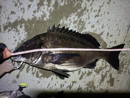 2023/05/25 南港ヘチ釣り釣行